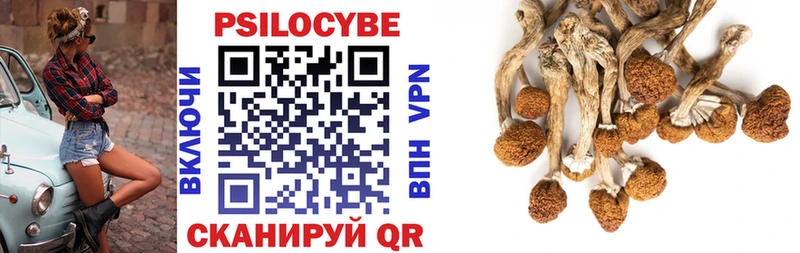 Галлюциногенные грибы прущие грибы  Агрыз 